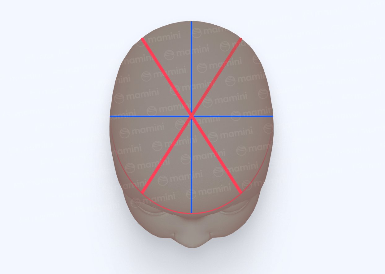 Superior view of the head with the anteroposterior and biparietal axes in blue and the two oblique diagonals in red, crossing at the center.